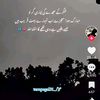 asad.shona1