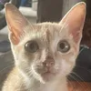 huynhhien9013