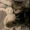 tt090329