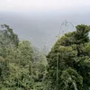 linhsam1997
