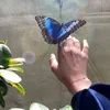 zcern1