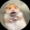 _dtwthyv8_