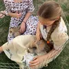 lina.anfilofev0