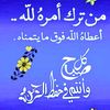 javeed1528