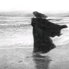 jjkol66