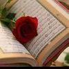 user2181900183252