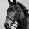 my_dear236