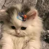aleen_2017
