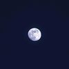 whitemoon546