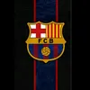 user3009869024183