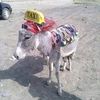 tufan8708