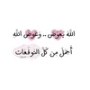 user381131197102