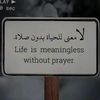 user2480219619788