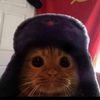 gatoski_junior