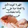 chouchou.chi256