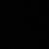 fff.3335