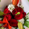 abla.afqir