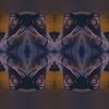 blakewilson_1776