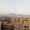 lebanesepapillon