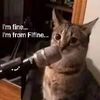 irenefifine