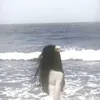 lose_677