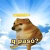 cheems2702