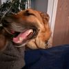 bennybigboygsd
