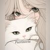 hiiiput_