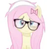 daisy_dolly_daydream