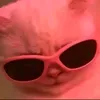 cant.meoww