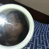 sshahanie_