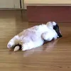 skrrrrtttttt_hfgtffygg