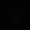 taxii._1