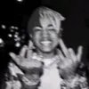 alexzxddz