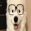 hxvrxm33