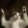polakusiebie
