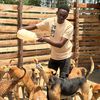 Alex Animals Shelter Uganda