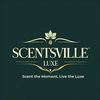 _shopwithscentsville06_