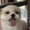 .zeaaann