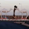 sara___495