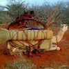 mahad.xuseen10