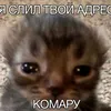 user9080851800382