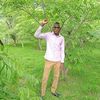 user6620871326903