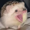 banana82920