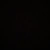 daly_1233