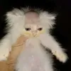 keii_kei1