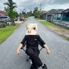 amisukufx2.0
