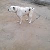 akony884843270788816