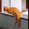 nks...o_o