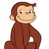 unknown_monnkey